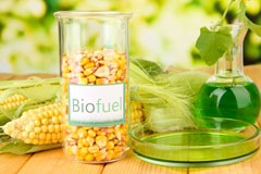 Plucks Gutter biofuel availability